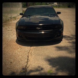 Meet your Posher, Sam